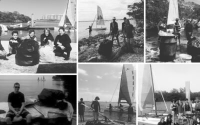 Why do we strive to clean up the bay? and how did it all start?
